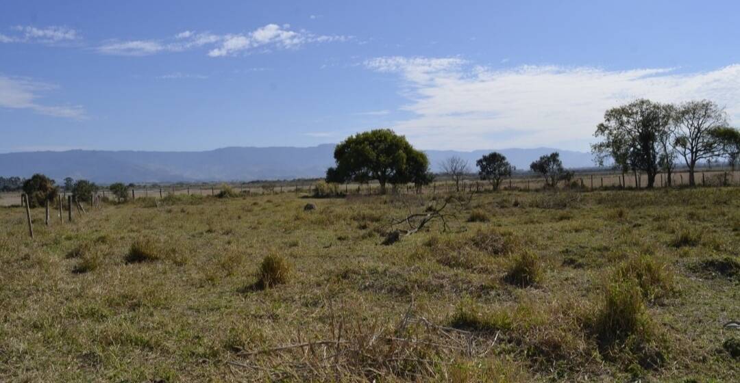 Terreno, 4000 m² - Foto 1