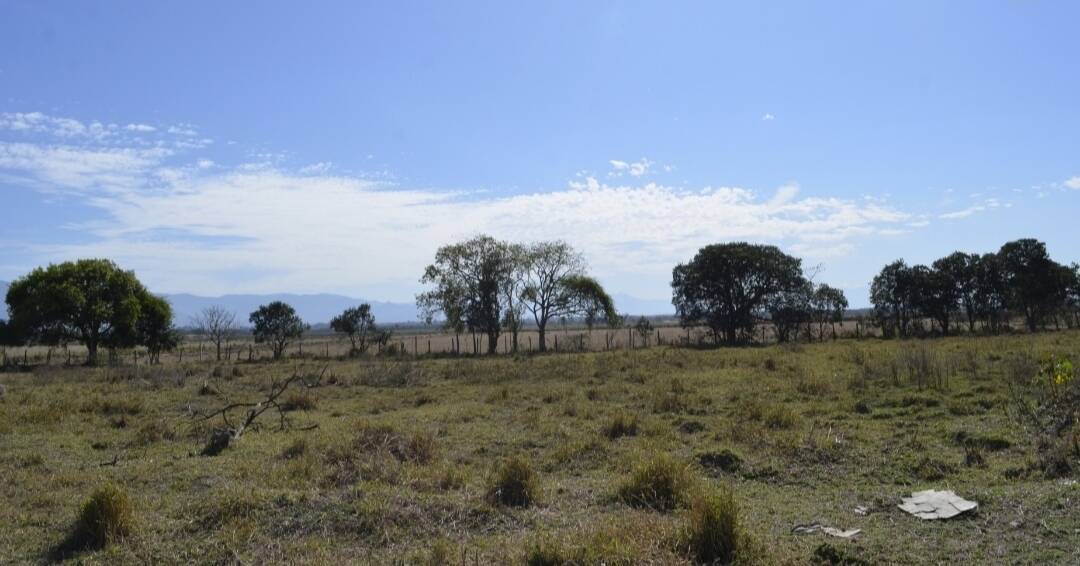 Terreno, 4000 m² - Foto 2