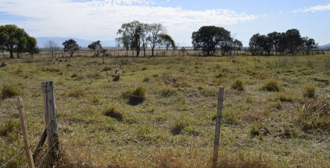 Terreno, 4000 m² - Foto 3