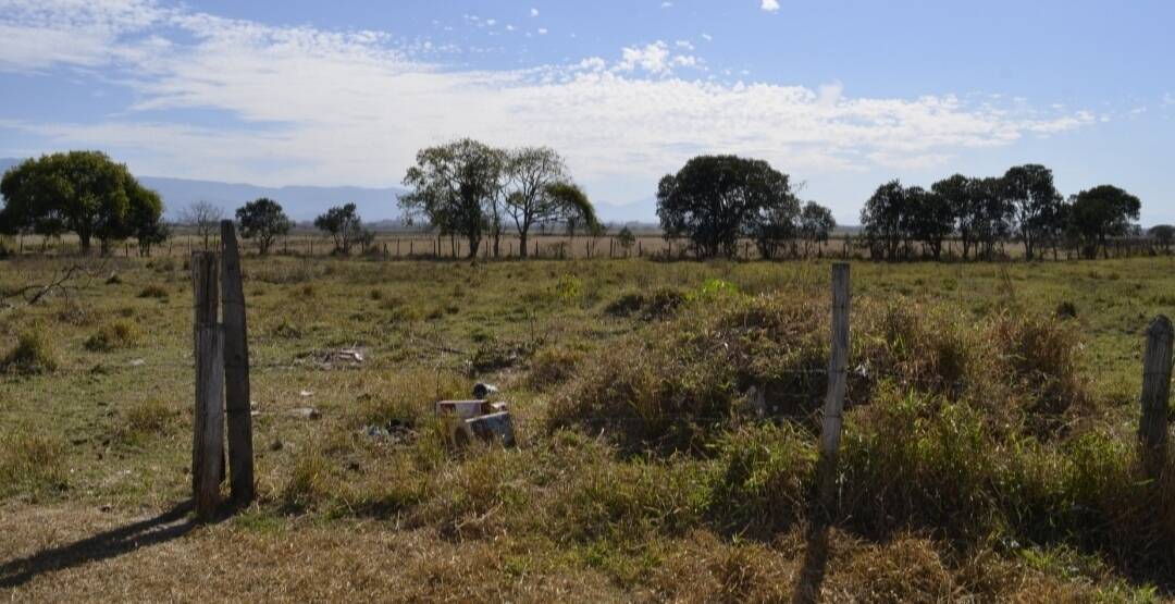 Terreno, 4000 m² - Foto 4