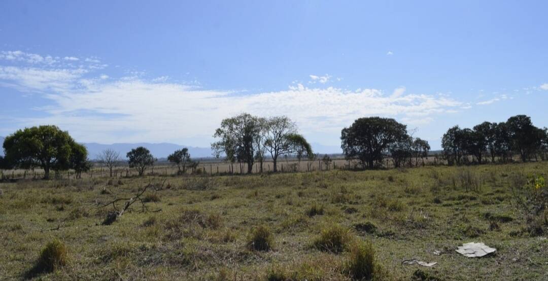 Terreno, 4000 m² - Foto 5