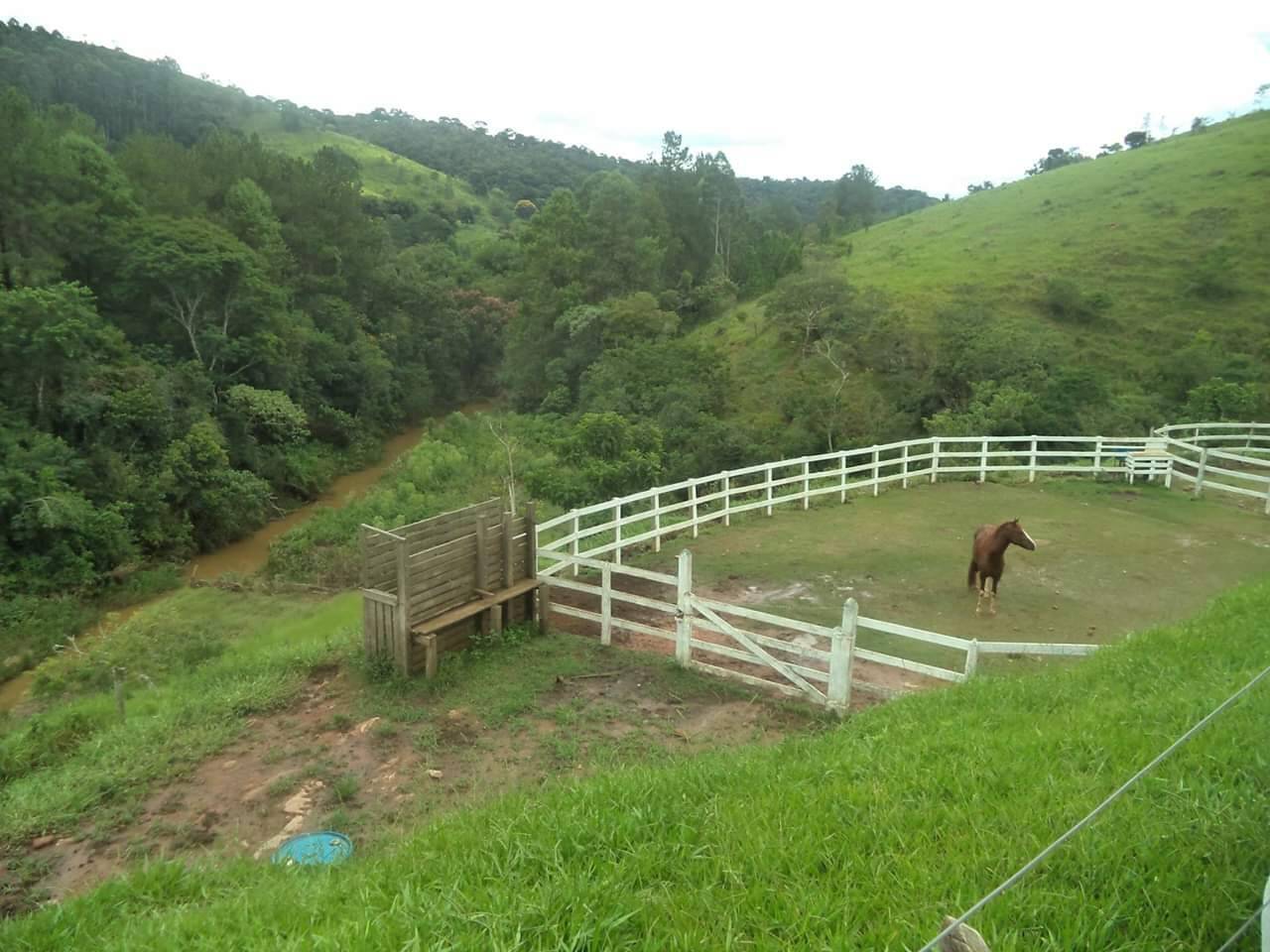 Sítio, 4 quartos, 6 hectares - Foto 7