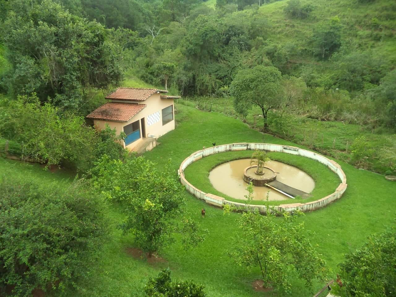 Sítio, 4 quartos, 6 hectares - Foto 8