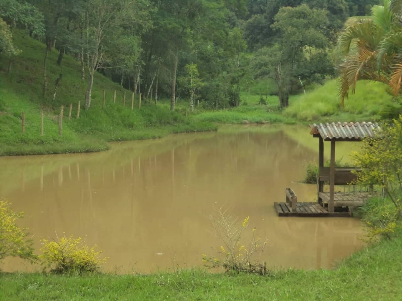 Sítio, 4 quartos, 6 hectares - Foto 17