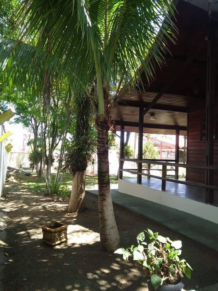 Chácara, 3 quartos, 1000 m² - Foto 9