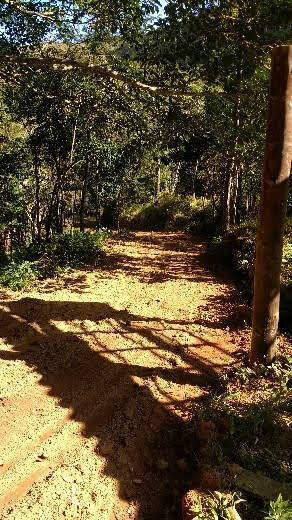 Terreno, 2 m² - Foto 13