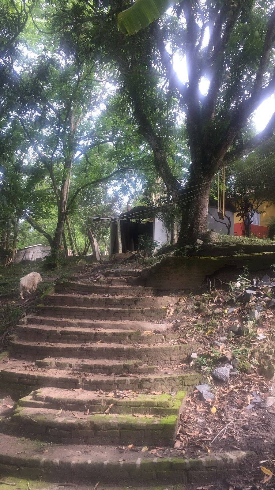 Chácara, 3 quartos, 2 m² - Foto 2
