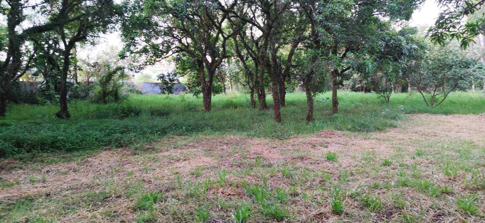 Terreno, 1012 m² - Foto 3