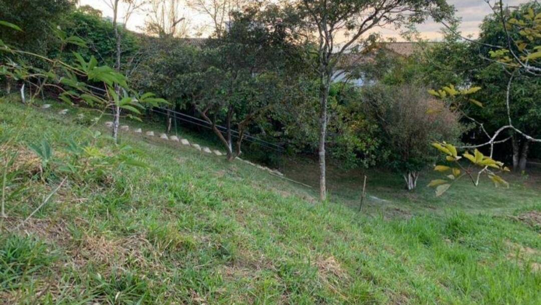Terreno, 800 m² - Foto 5