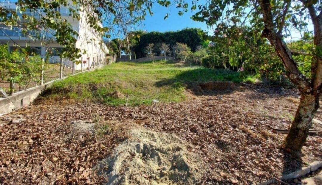 Terreno, 800 m² - Foto 9