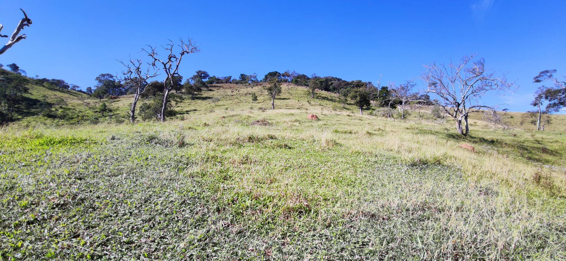 Terreno, 27 m² - Foto 12
