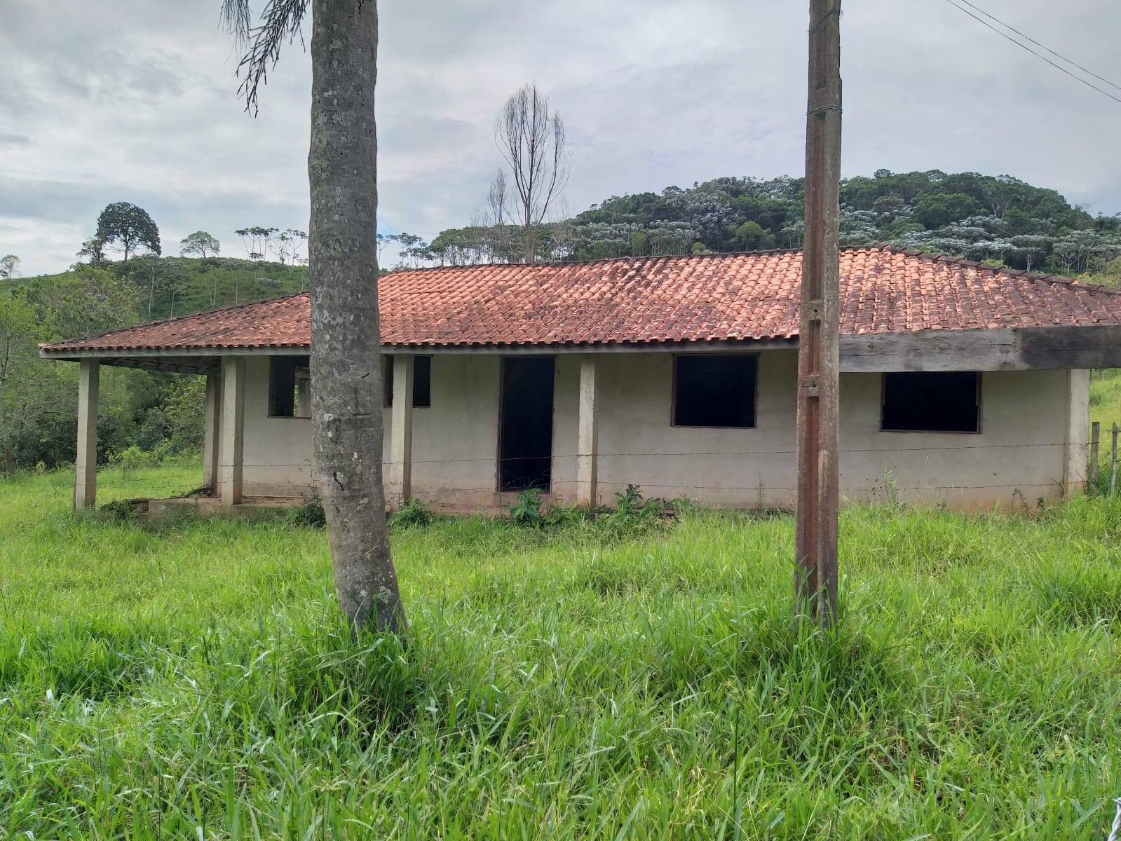 Sítio, 5 quartos, 23 m² - Foto 1