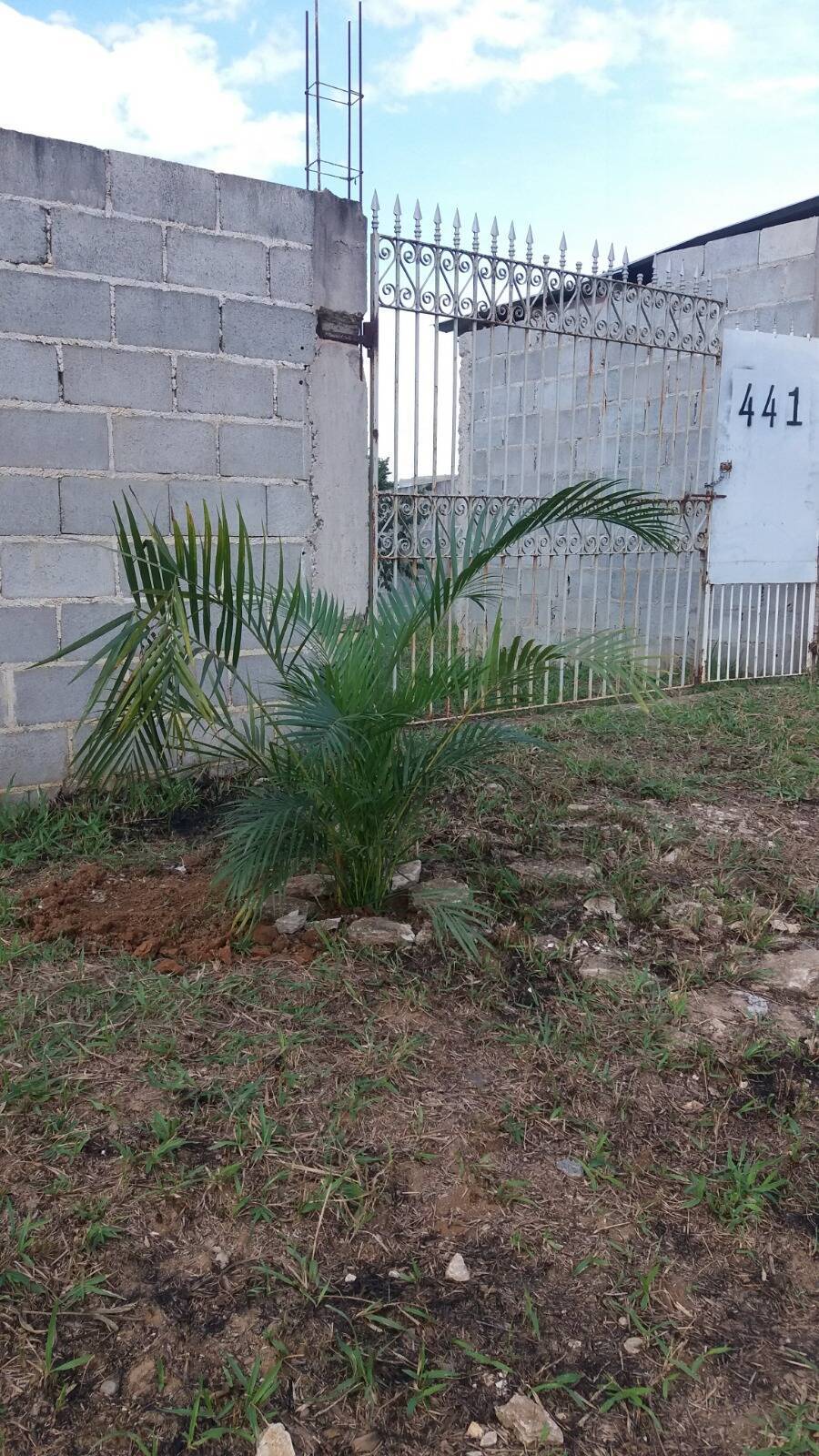 Terreno, 1100 m² - Foto 3