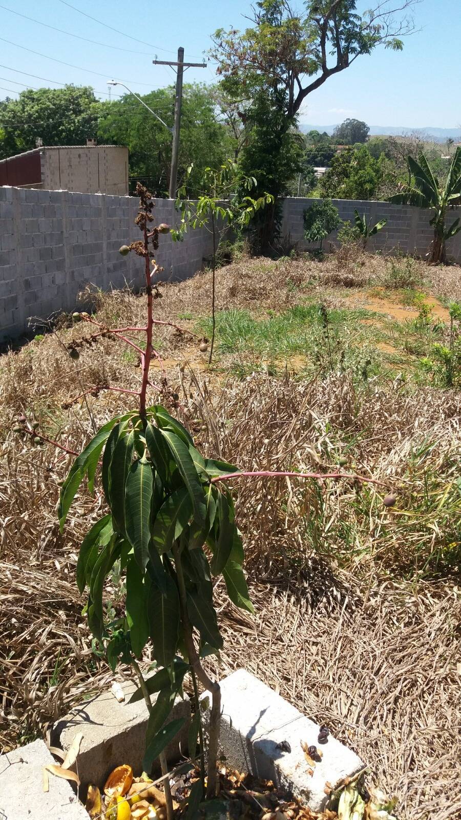 Terreno, 1100 m² - Foto 4