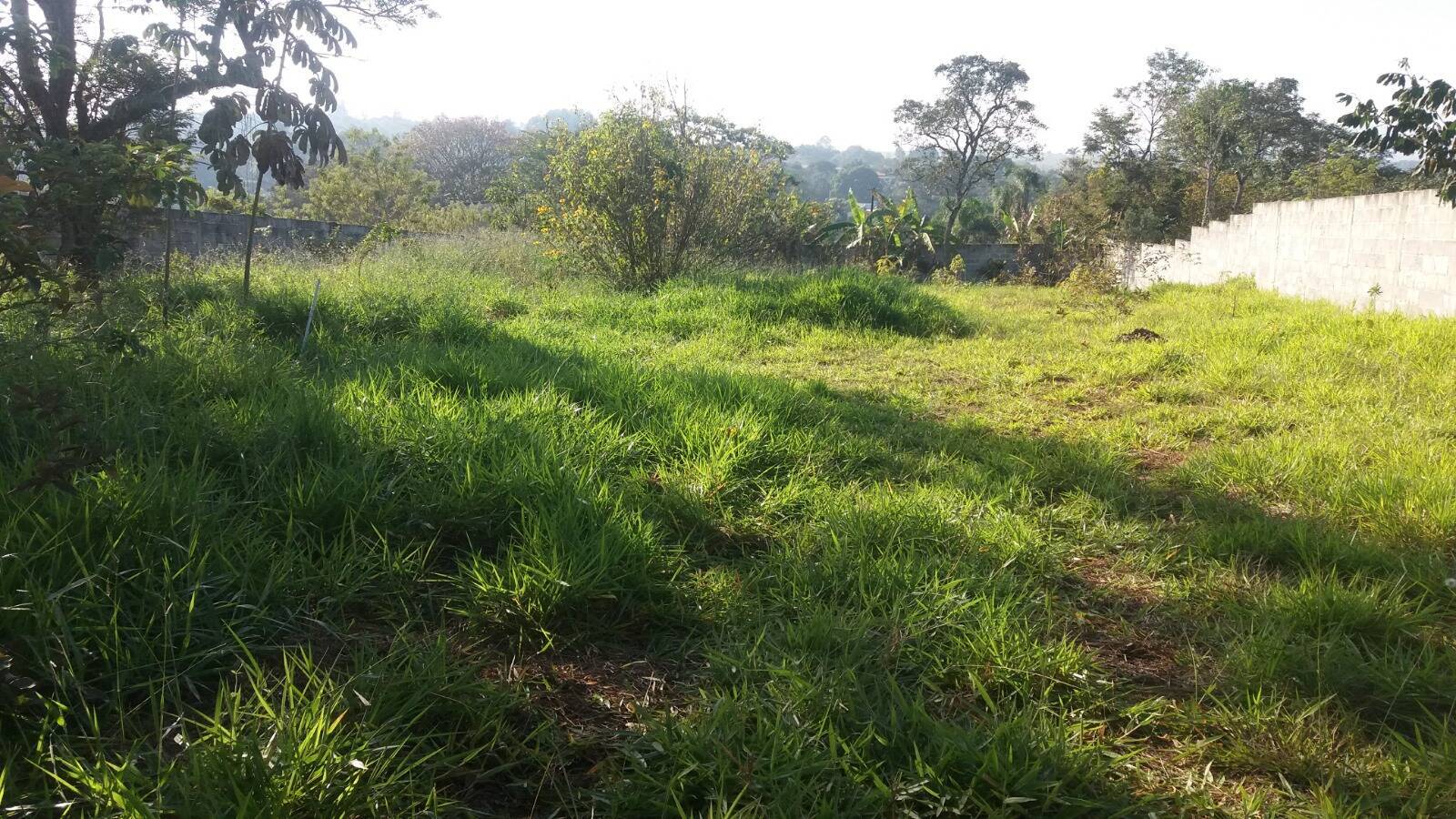 Terreno, 1100 m² - Foto 6