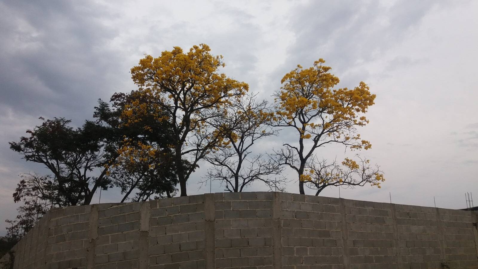 Terreno, 1100 m² - Foto 10
