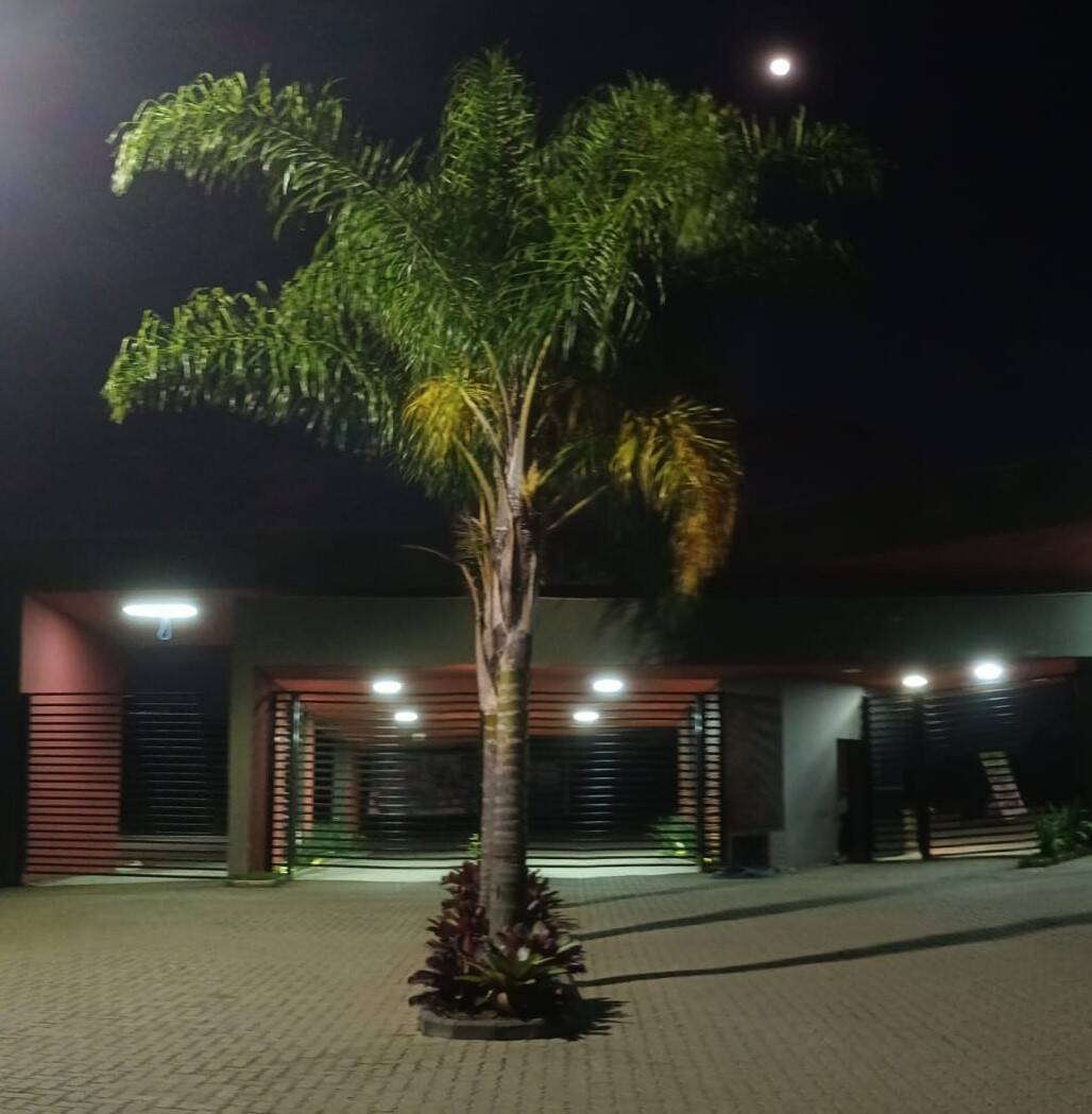 Terreno, 36 hectares - Foto 6