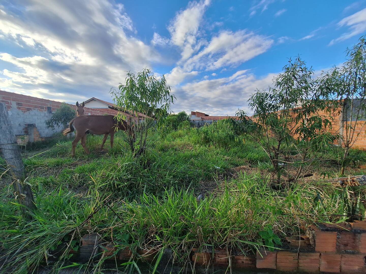 Terreno, 500 m² - Foto 2