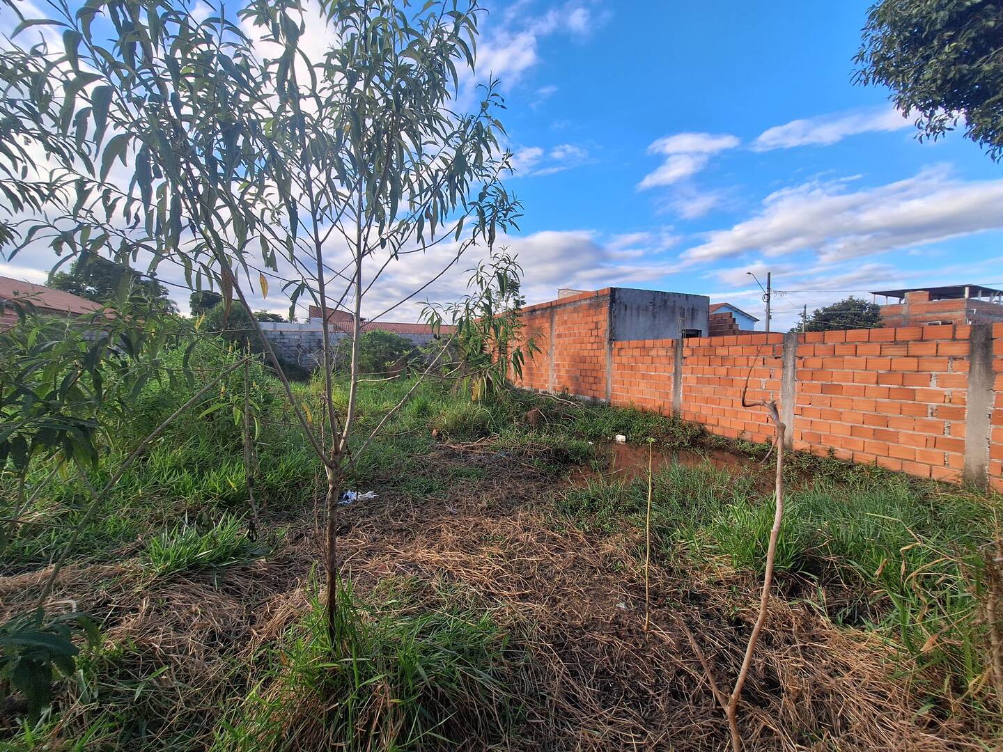 Terreno, 500 m² - Foto 4