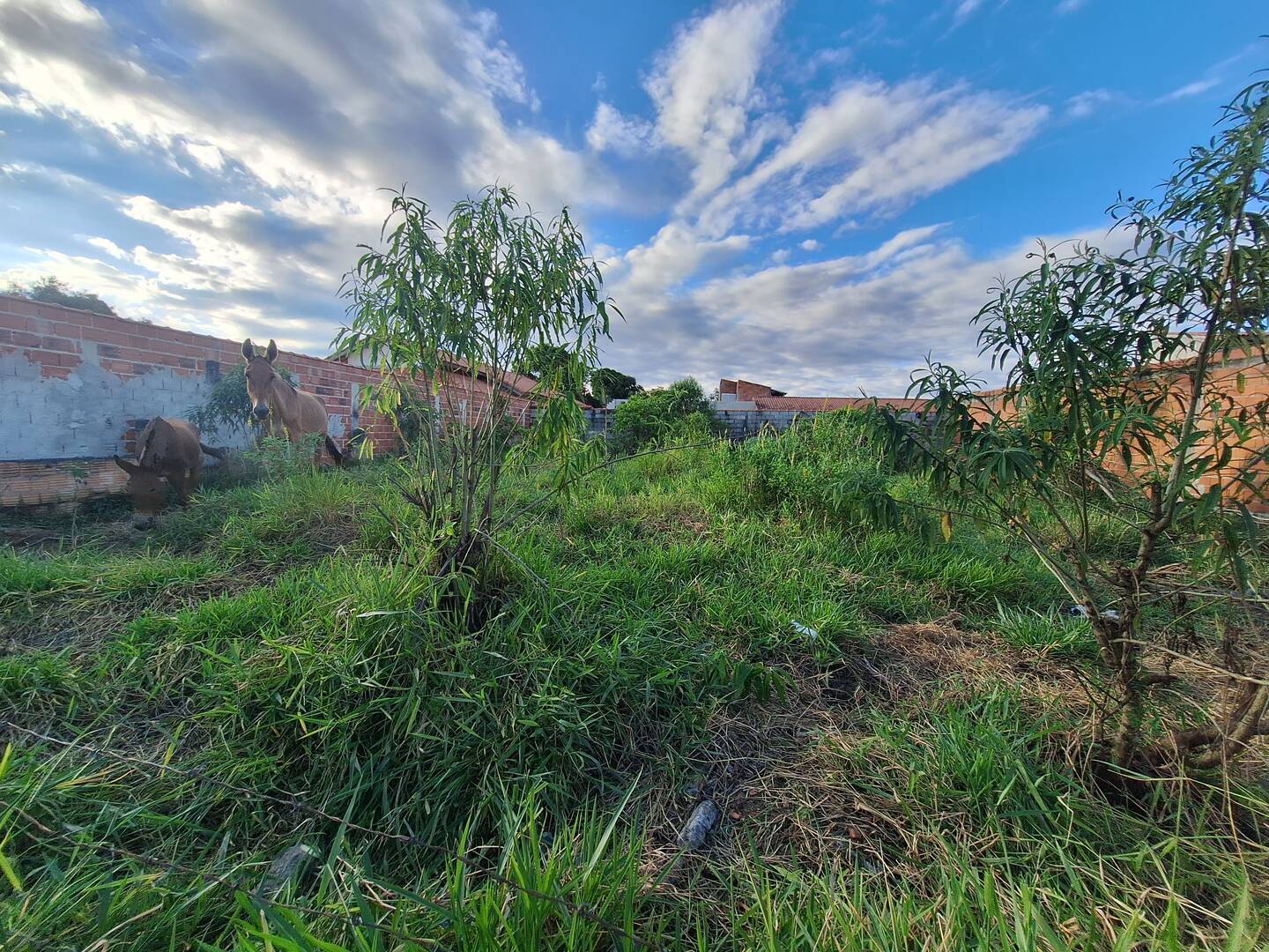 Terreno, 500 m² - Foto 5