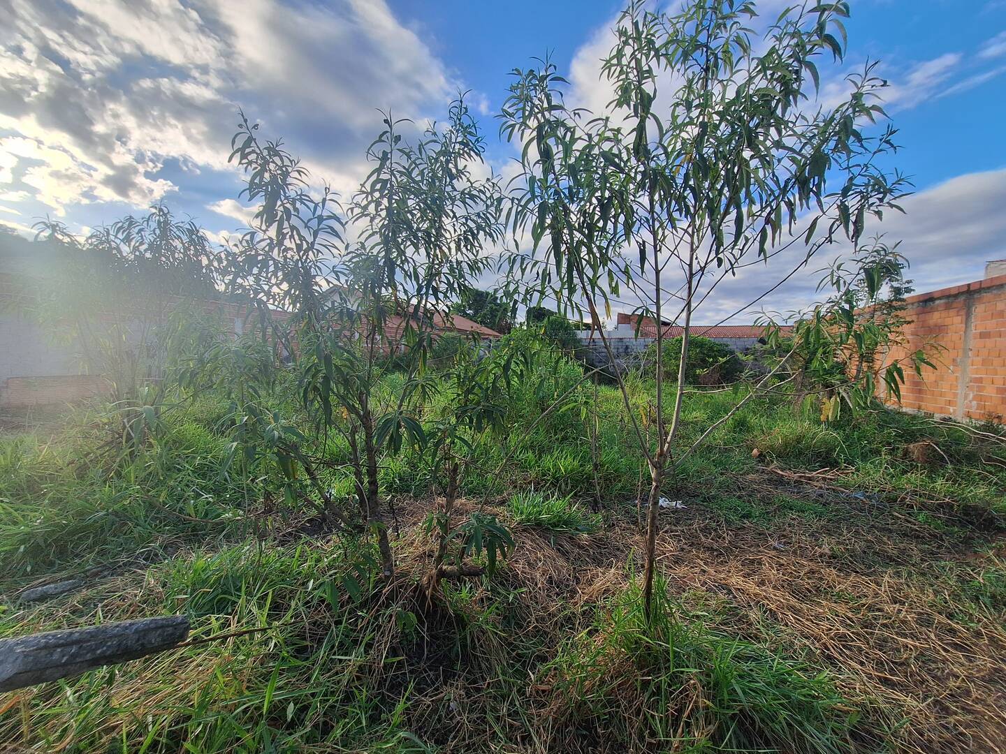 Terreno, 500 m² - Foto 6