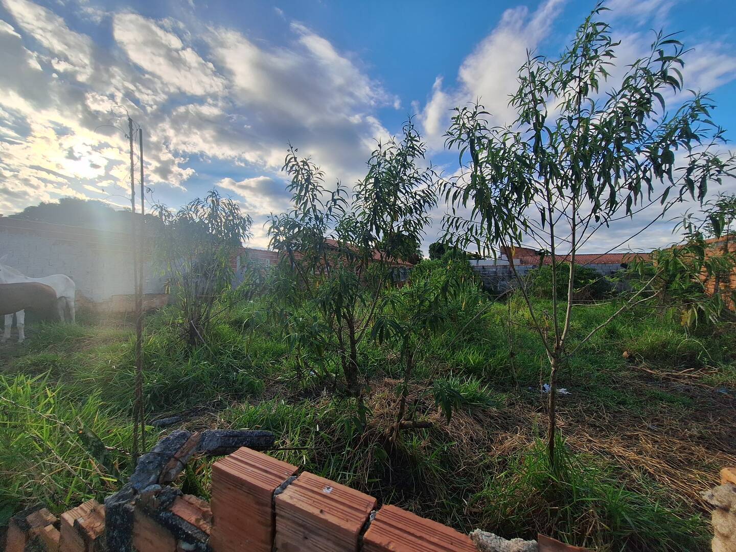 Terreno, 500 m² - Foto 9