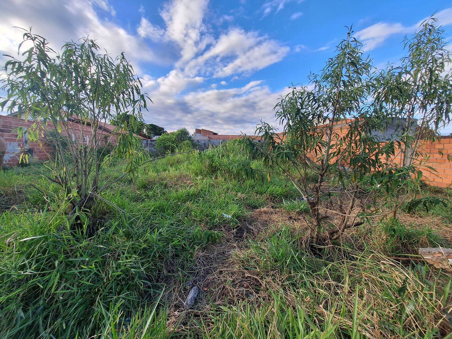 Terreno, 500 m² - Foto 13