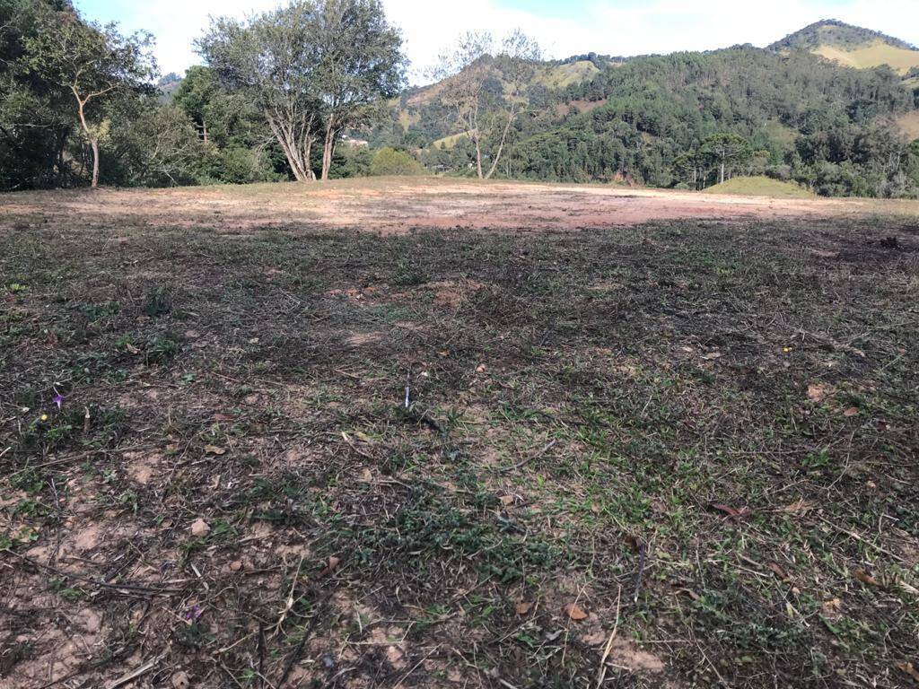 Terreno, 4623 m² - Foto 2