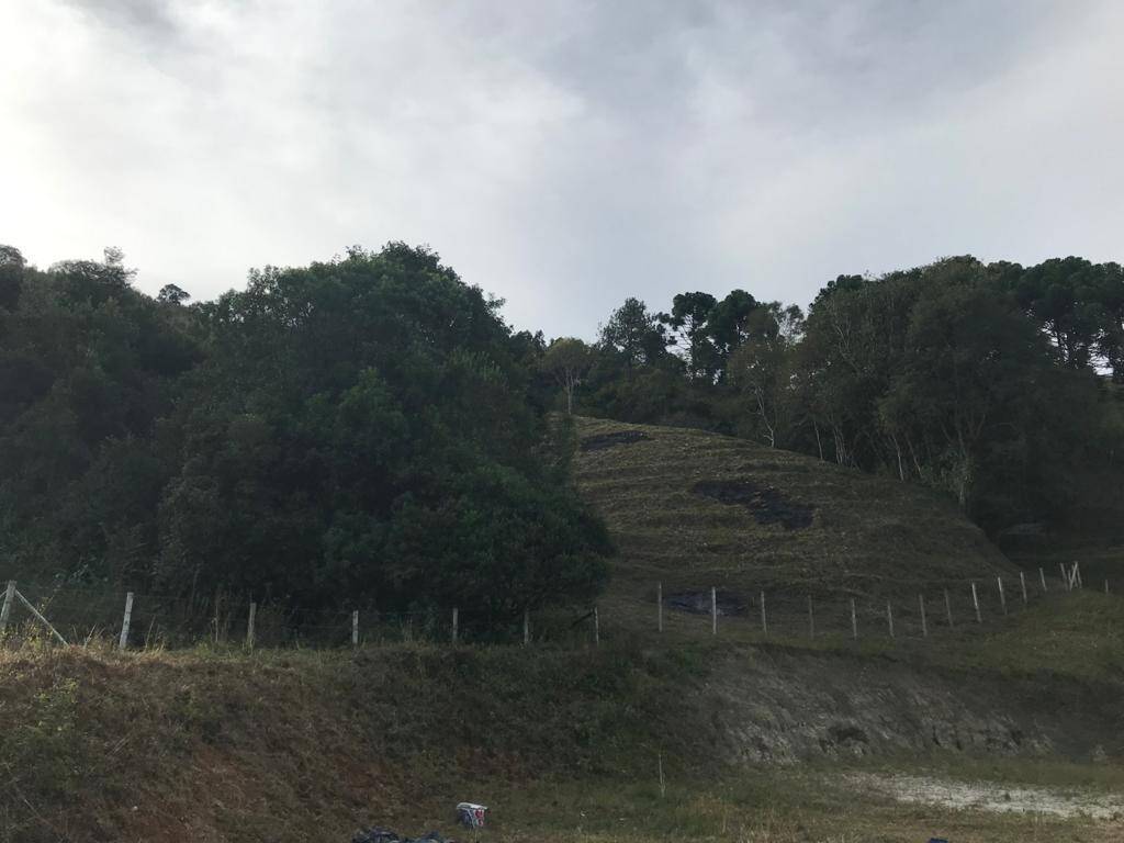 Terreno, 4623 m² - Foto 12
