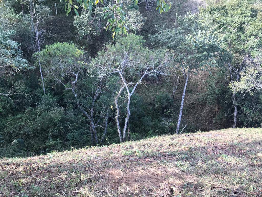 Terreno, 4623 m² - Foto 17