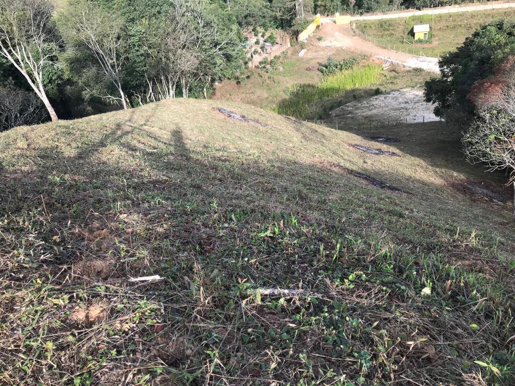 Terreno, 4623 m² - Foto 15
