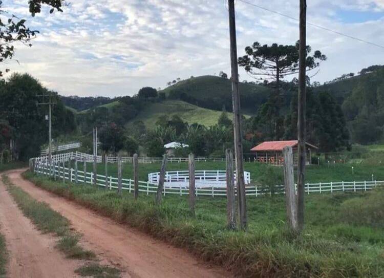Sítio, 2 quartos, 4000 m² - Foto 34