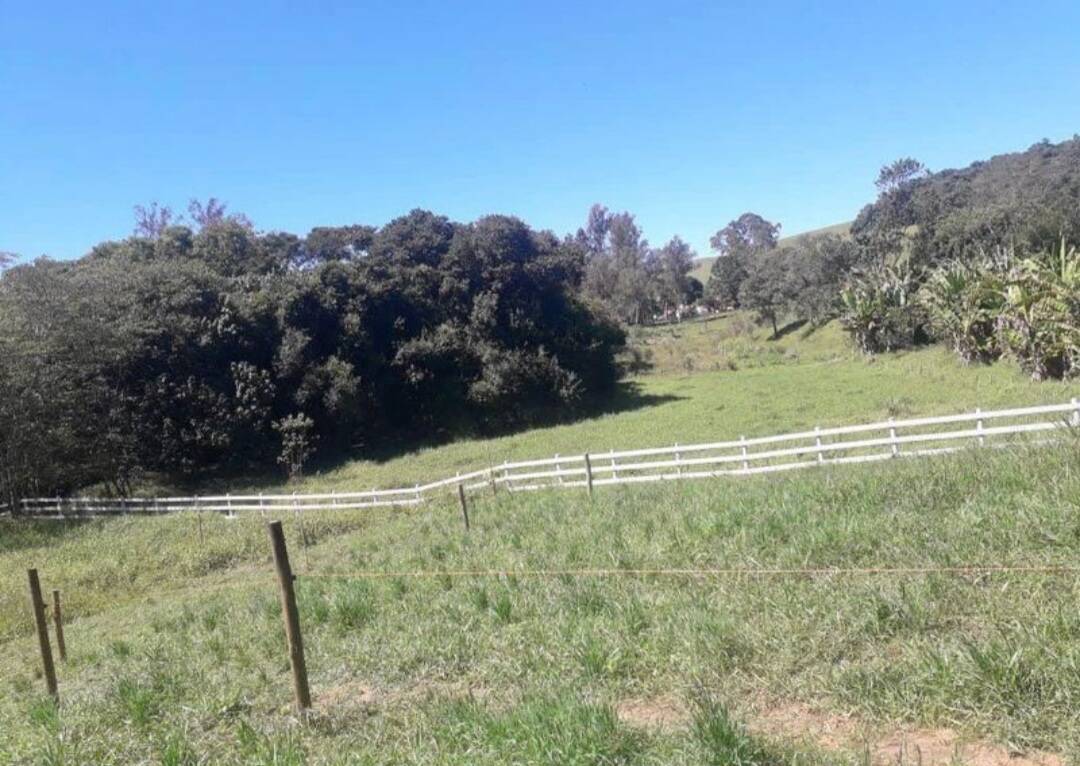 Sítio, 2 quartos, 4000 m² - Foto 36