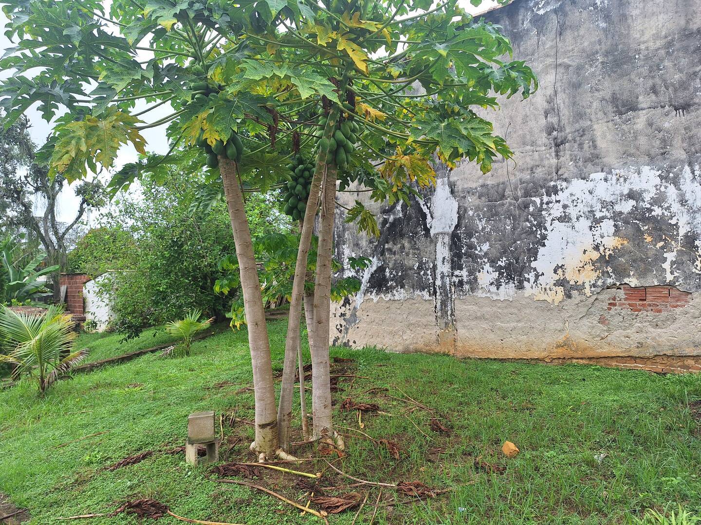 Chácara, 3 quartos, 2114 m² - Foto 13