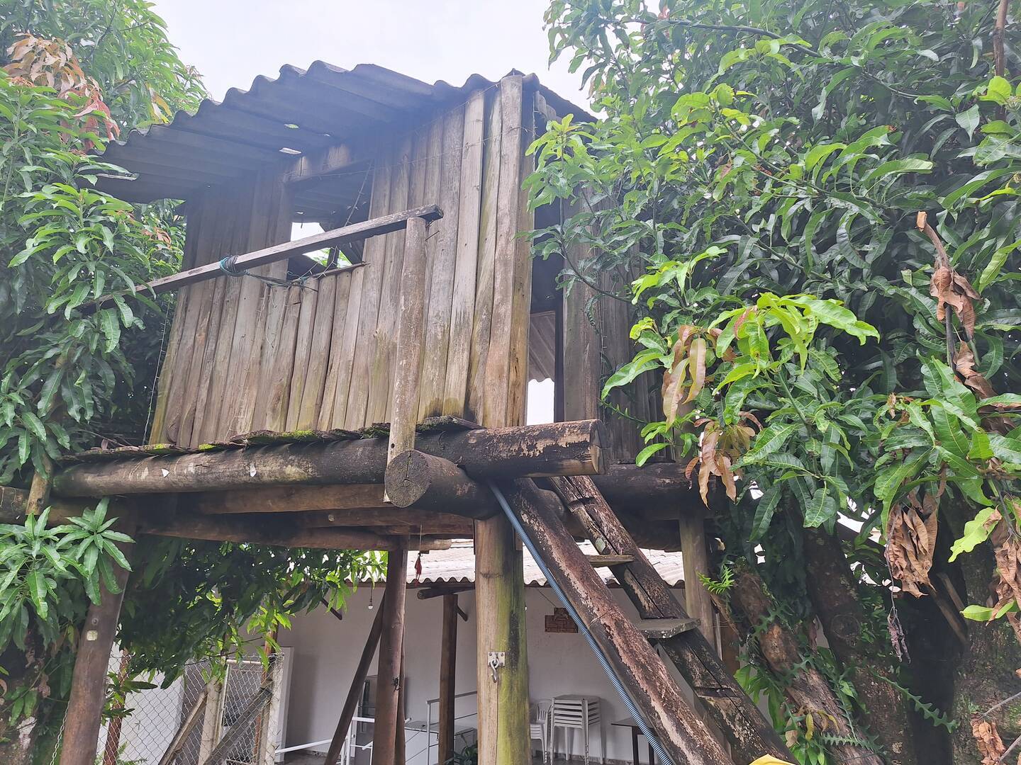 Chácara, 3 quartos, 2114 m² - Foto 17