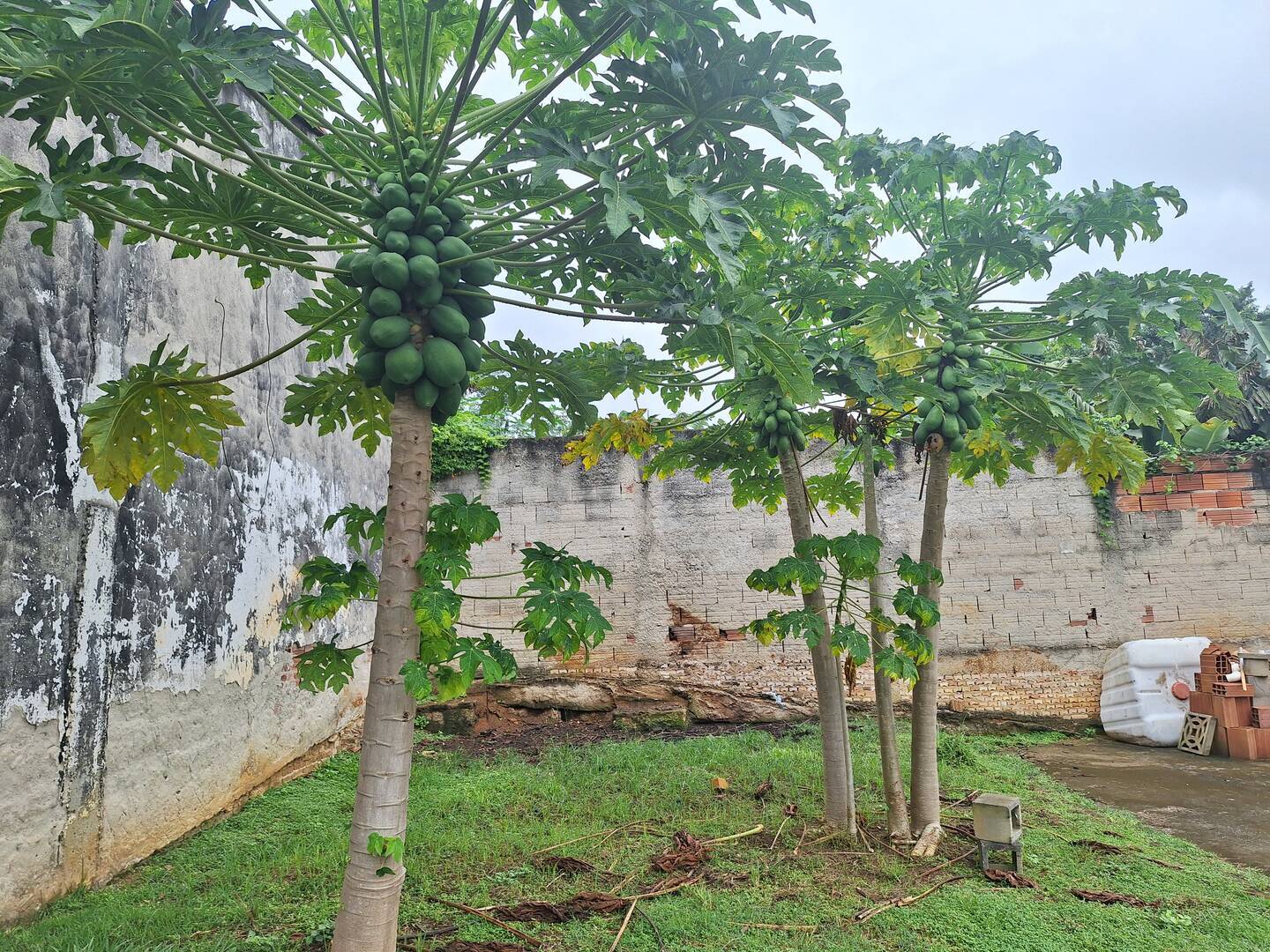 Chácara, 3 quartos, 2114 m² - Foto 18