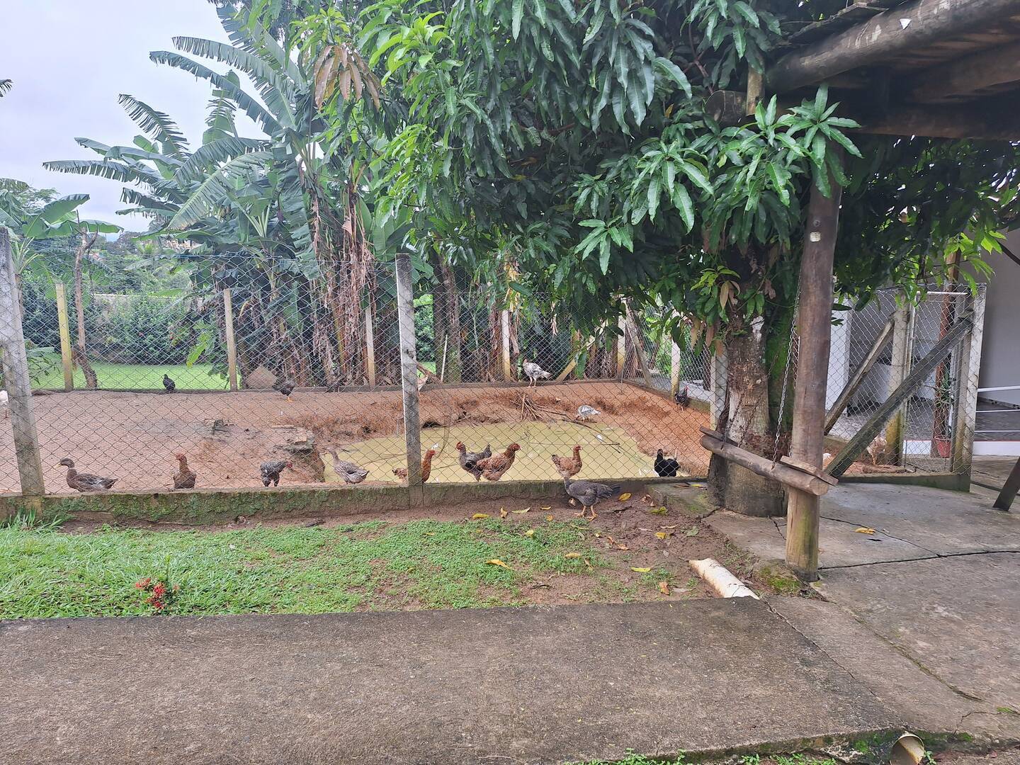 Chácara, 3 quartos, 2114 m² - Foto 21