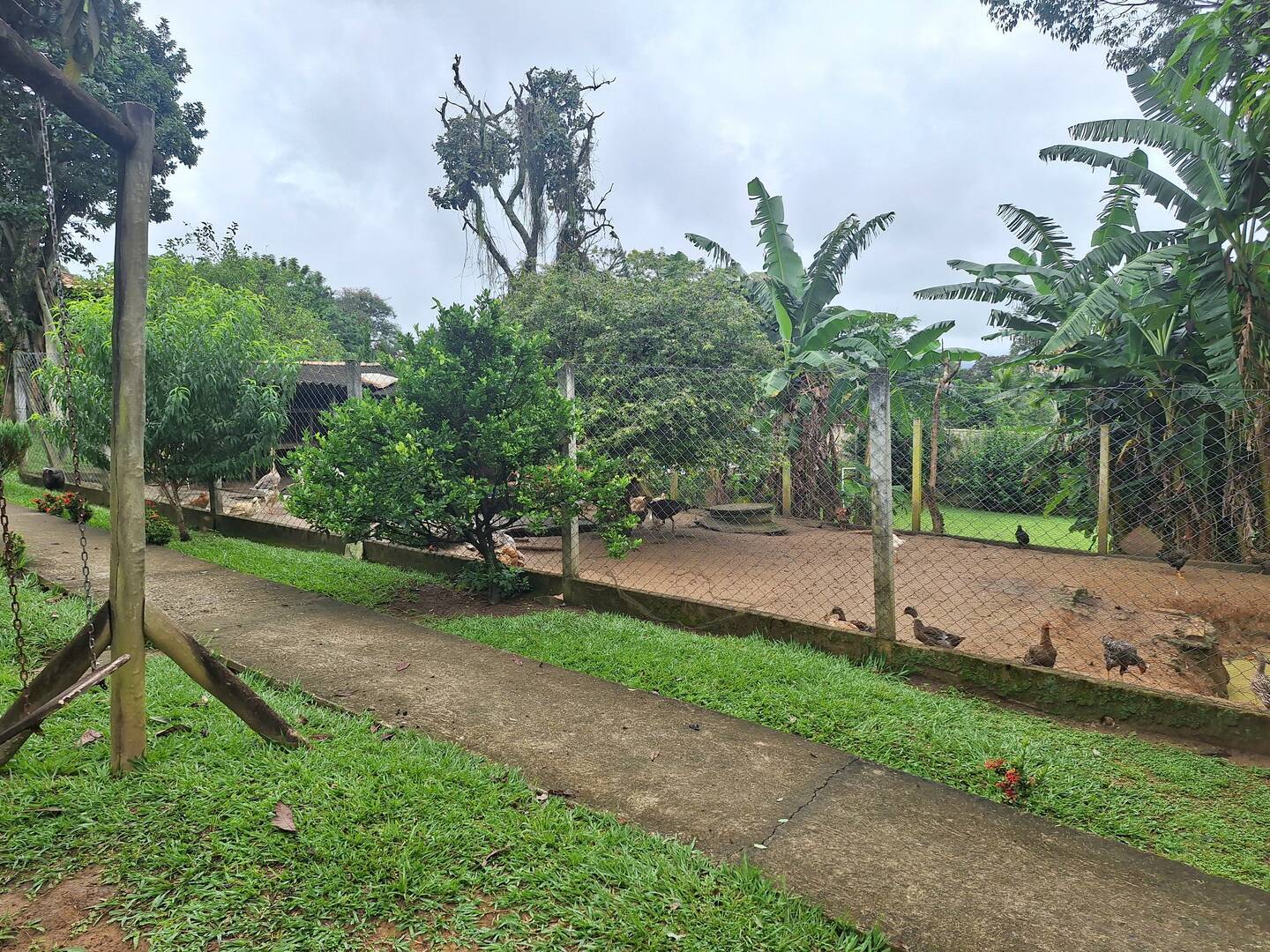 Chácara, 3 quartos, 2114 m² - Foto 23