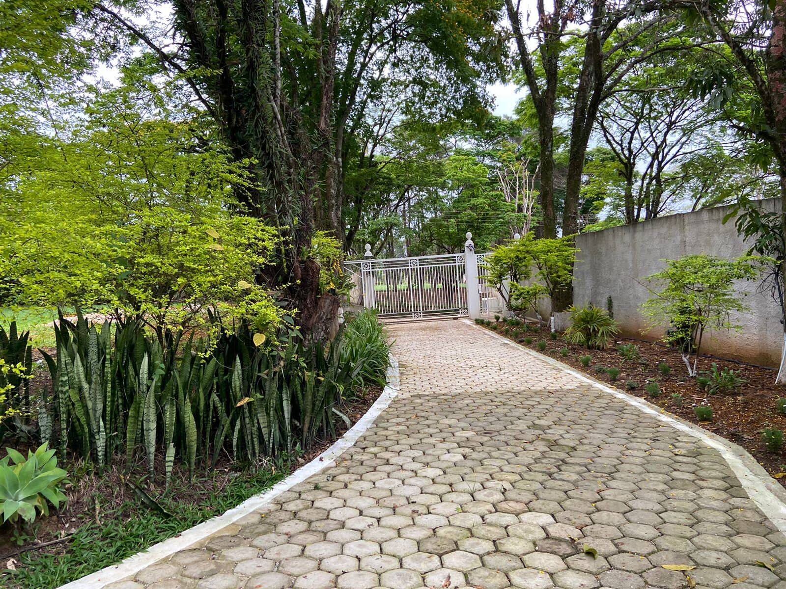 Chácara, 10 quartos, 4000 m² - Foto 7