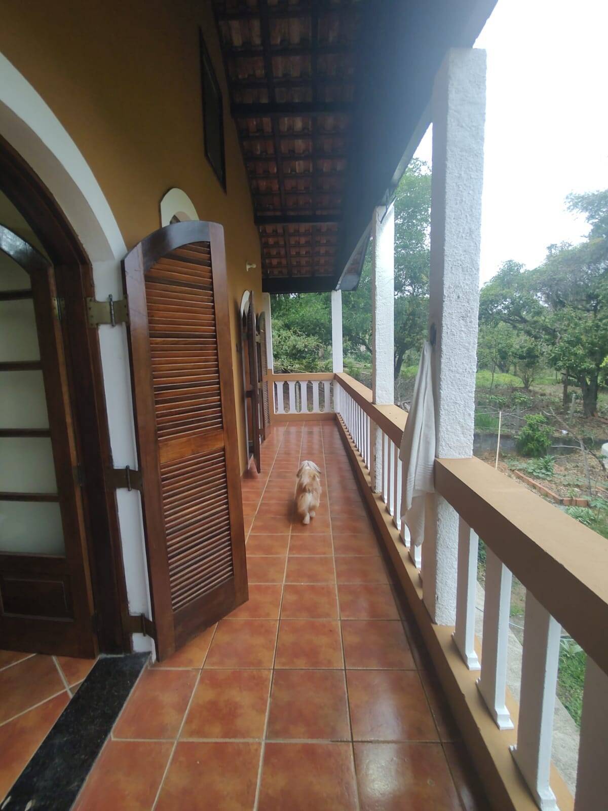 Sítio, 3 quartos, 1440 m² - Foto 8