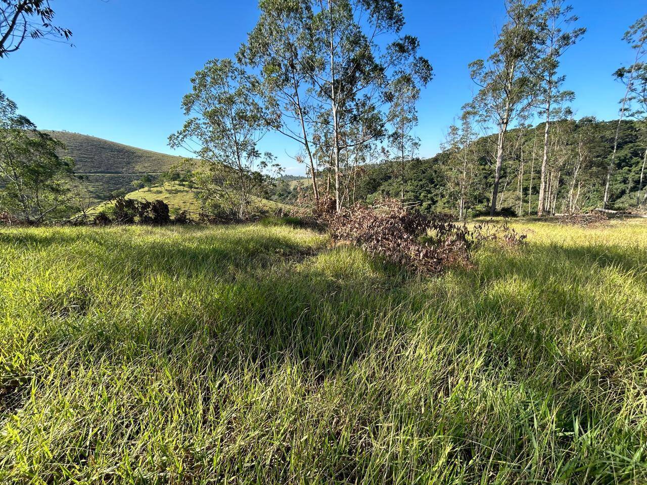 Terreno, 30 m² - Foto 1