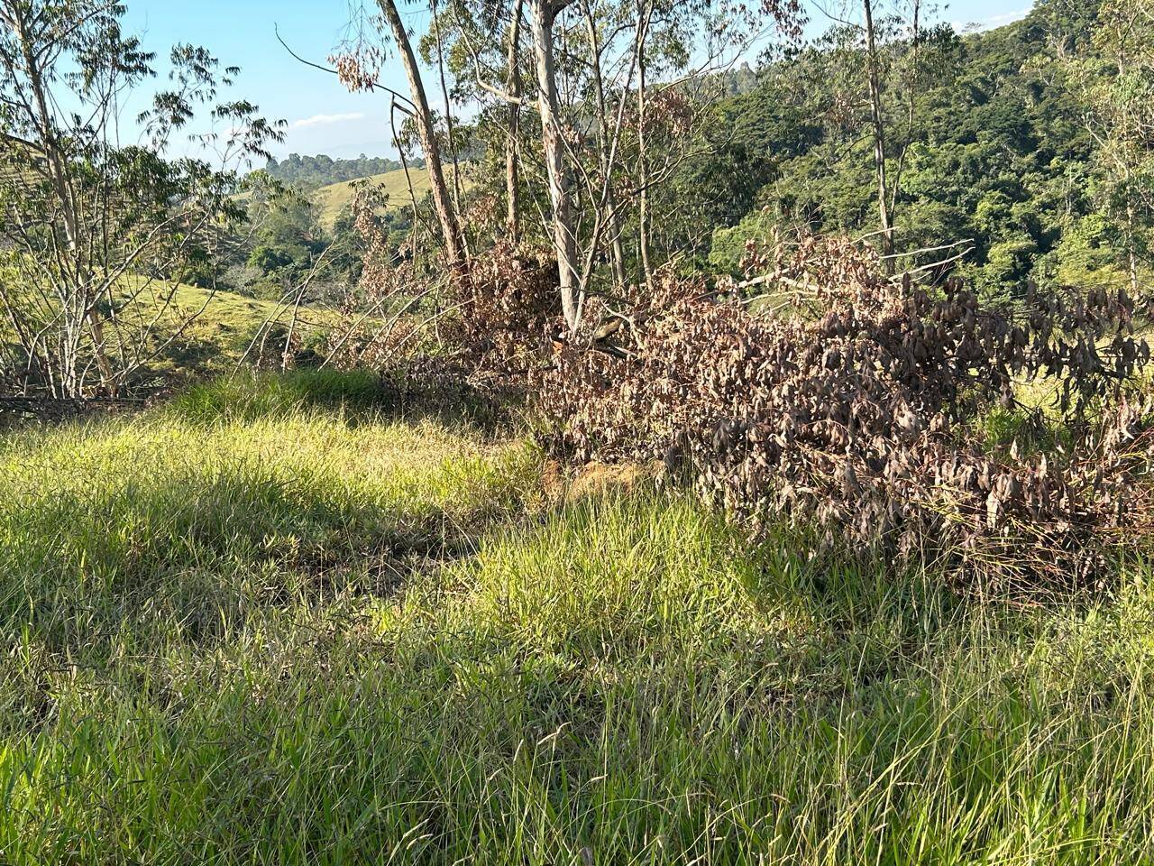 Terreno, 30 m² - Foto 2