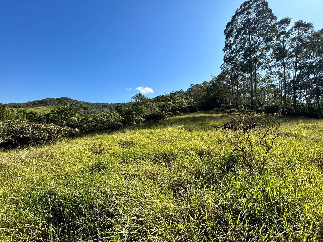 Terreno, 30 m² - Foto 4