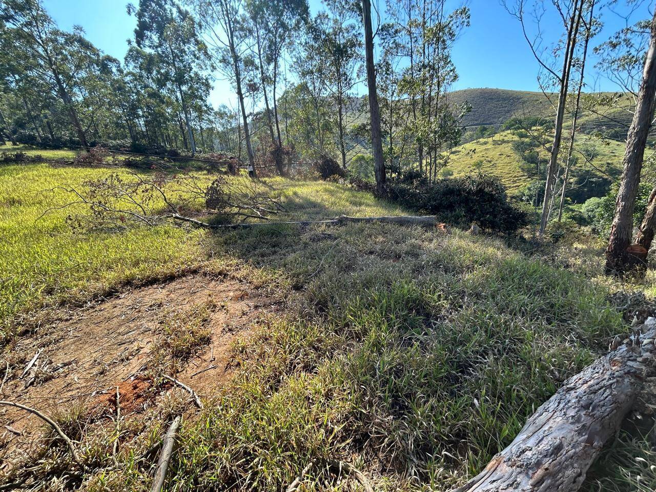 Terreno, 30 m² - Foto 6