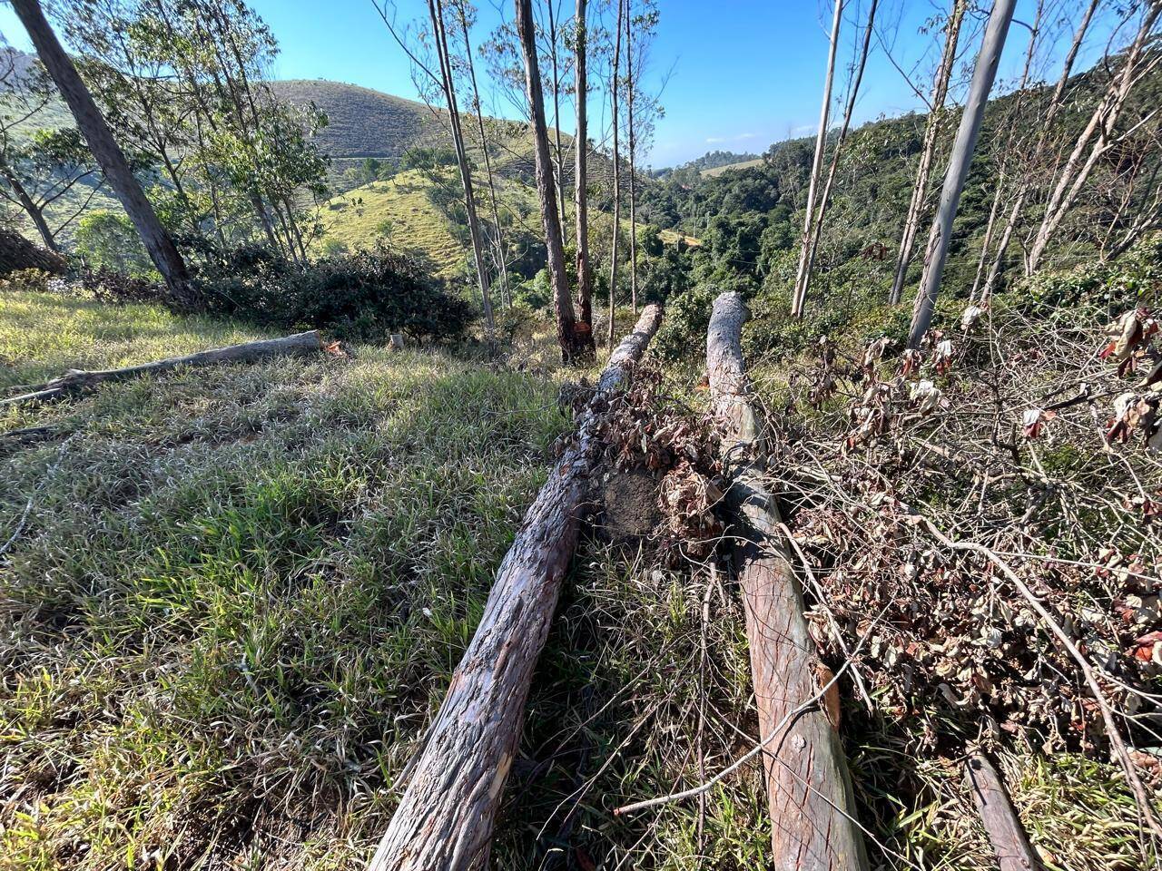 Terreno, 30 m² - Foto 7