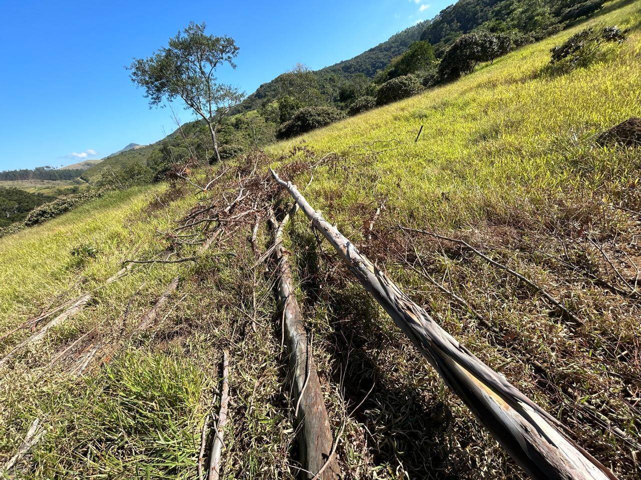 Terreno, 30 m² - Foto 8