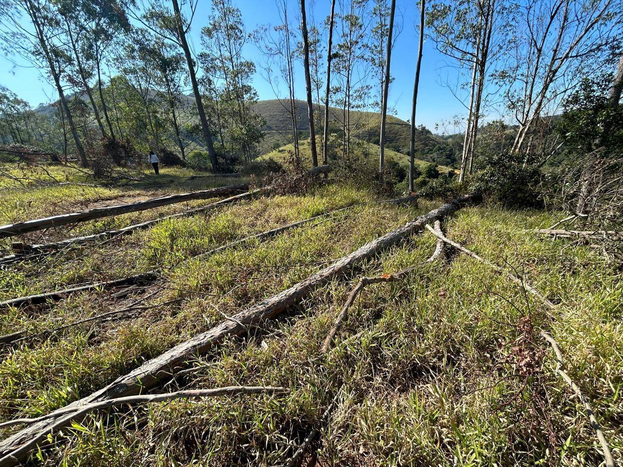 Terreno, 30 m² - Foto 10