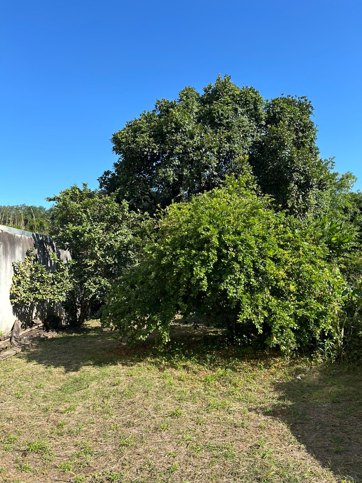 Sobrado, 3 quartos, 300 m² - Foto 24