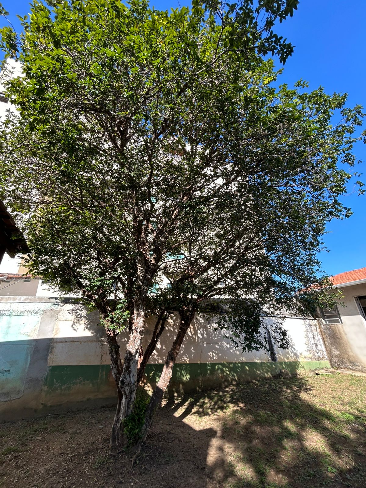 Sobrado, 3 quartos, 300 m² - Foto 25