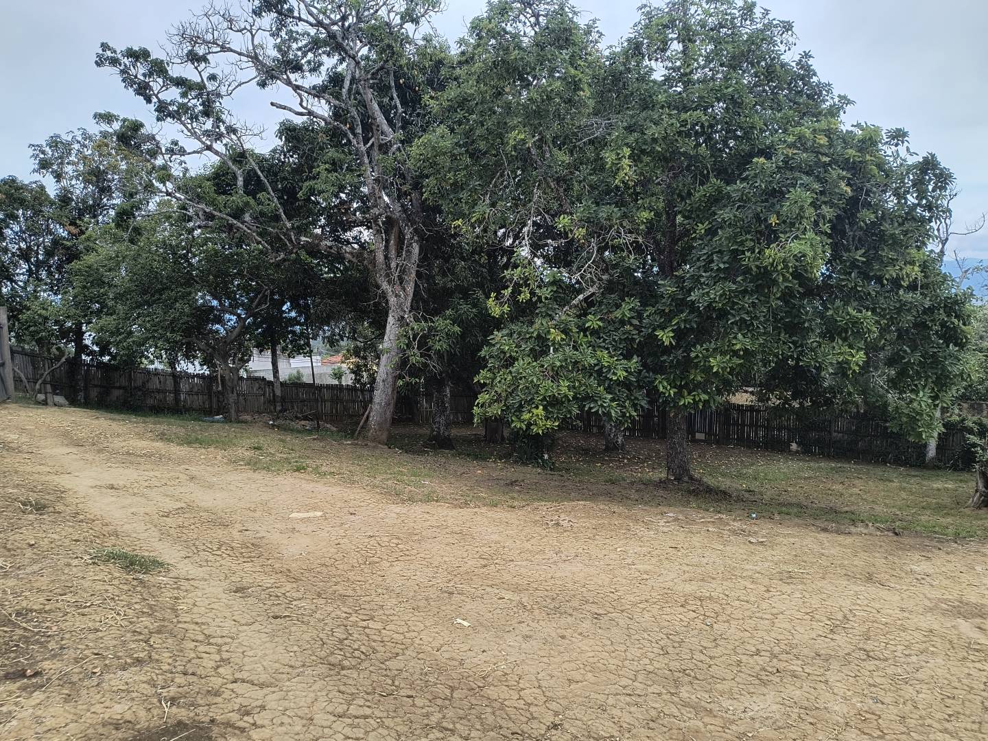 Terreno, 900 m² - Foto 6